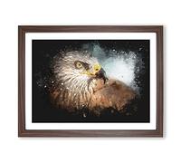 Portrait Of A Red Kite Bird Paint Splash Modern Art Framed Wall Art Print, Ready to Hang Picture for Living Room Bedroom Home Office Décor, Walnut A4 (34 x 25 cm)
