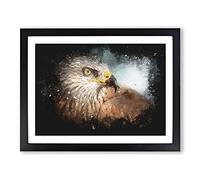 Portrait Of A Red Kite Bird Paint Splash Modern Art Framed Wall Art Print, Ready to Hang Picture for Living Room Bedroom Home Office Décor, Black A4 (34 x 25 cm)