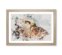 Portrait of a Red Kite Bird Watercolour Framed Print | A2 Oak Framed Wall Art | Ready to Hang | Modern Historical Picture | Living Room Bedroom Lounge Office