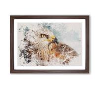 Portrait of a Red Kite Bird Watercolour Framed Print | A2 Walnut Framed Wall Art | Ready to Hang | Modern Historical Picture | Living Room Bedroom Lounge Office