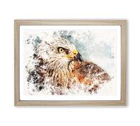 Portrait Of A Red Kite Bird Watercolour Modern Framed Print | A3 Oak Framed Wall Art | Ready to Hang | Modern Historical Picture | Living Room Bedroom Lounge Office