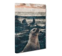 Portrait Of A Seal Painting Modern Canvas Wall Art Print Ready to Hang, Framed Picture for Living Room Bedroom Home Office Décor, 30x20 Inch (76x50 cm)