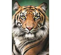Puzzle 1500 Portrait of a Tiger