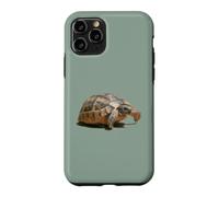 Portrait of a Young Wild Tortoise Isolated Case for iPhone 11 Pro