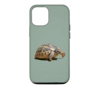 Portrait of a Young Wild Tortoise Isolated Case for iPhone 12/12 Pro