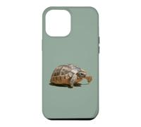 Portrait of a Young Wild Tortoise Isolated Case for iPhone 12 Pro Max