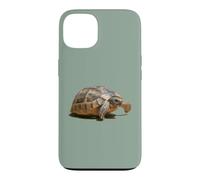 Portrait of a Young Wild Tortoise Isolated Case for iPhone 13