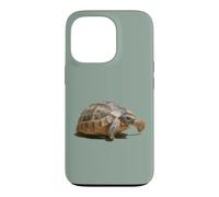 Portrait of a Young Wild Tortoise Isolated Case for iPhone 13 Pro