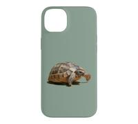 Portrait of a Young Wild Tortoise Isolated Case for iPhone 14 Plus