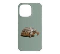 Portrait of a Young Wild Tortoise Isolated Case for iPhone 14 Pro Max