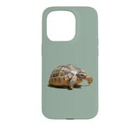 Portrait of a Young Wild Tortoise Isolated Case for iPhone 15 Pro