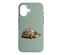 Portrait of a Young Wild Tortoise Isolated Case for iPhone 16