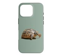 Portrait of a Young Wild Tortoise Isolated Case for iPhone 16 Pro
