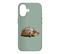 Portrait of a Young Wild Tortoise Isolated Case for iPhone 17