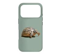 Portrait of a Young Wild Tortoise Isolated Case for iPhone 17 Pro