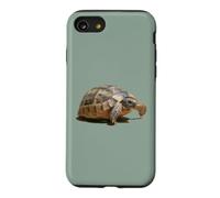 Portrait of a Young Wild Tortoise Isolated Case for iPhone SE (2020) / 7/8