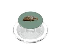 Portrait of a Young Wild Tortoise Isolated PopSockets PopGrip for MagSafe