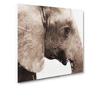 Portrait of an Elephant Canvas Print | Gallery Wrapped 30mm Frame Wall Art | 20x20 inches | Ready to Hang | Abstract Animals Picture | Living Room Bedroom Lounge Office