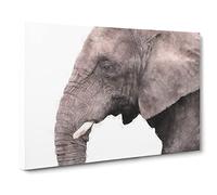 Portrait Of An Elephant Canvas Print | Gallery Wrapped 30mm Frame Wall Art | 24x16 inches | Ready to Hang | Modern Animals Picture | Living Room Bedroom Lounge Office