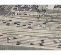 Portrait of the Gambler