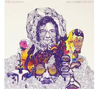 Portugal The Man - Mountain In The Cloud [VINYL]
