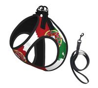 Portuguese Flag Map Print Dog Harness Small Sized And Leash Set, Step In Soft Light Puppy Vest Breathable Mesh Pet Harness