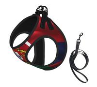Portuguese Flag Print Small Dog Harness with Leash Set, No Escape Easy Walk Puppy Harnesses for Training Walking