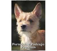 Portuguese Podengo Pequenos: Dog breed overview and guide
