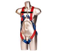 Portwest Portwest 2 Point Harness, Size: One Size, Colour: Red, FP12RER