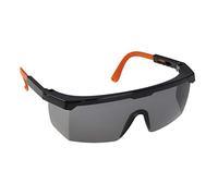 Portwest PW33 Safety Spectacles Side Protection