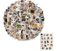 PORUPAEL 100PCS Cute Cat Stickers Pack - Adorable Cat & Meme Designs, Waterproof Vinyl Decals for Laptop, Water Bottle, Journal, Scrapbook, Gifts for Cat Lovers, Teens, Adults