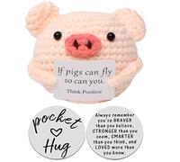 PORUPAEL Positive Crochet Pig Gift Set - Handmade Pocket Hug Present with Inspirational Message, Emotional Support Animal with Lucky Coin, Positive Gifts for Encouragement and Comfort