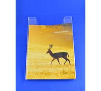 Pos Display Shop 2 x A3 Portrait Wall Mountable Brochure Menu Work Sheet Leaflet Holder in 3mm Clear Acrylic