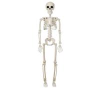 Posable Skeleton - Haunted Skeleton Figurine, Spooky Bone Statue | realistic full body skull prop decoration, adjustable joint design display for tabletop mantel porch yard indoor outdoor
