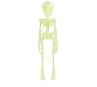 Poseable Skeleton Fridge Magnet, 3D Printed Articulated Skeleton, Mini Magnetic Skeleton with Movable Joints, Interesting Multi-Color Human Skull Magnetic Decorations for Halloween (1PC - L)