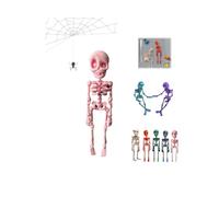 Poseable Skeleton Fridge Magnet,3D Printed Funny Goth Skeleton Fridge Magnets,Mini Halloween Skull Fridge Magnets with Movable Joints,Multi-Color Human Skull Magnetic Decor for Refrigerator Locker1