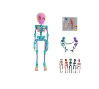 Poseable Skeleton Fridge Magnet,3D Printed Funny Goth Skeleton Fridge Magnets,Mini Halloween Skull Fridge Magnets with Movable Joints,Multi-Color Human Skull Magnetic Decor for Refrigerator Locker1