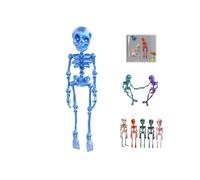 Poseable Skeleton Fridge Magnet,3D Printed Funny Goth Skeleton Fridge Magnets,Mini Halloween Skull Fridge Magnets with Movable Joints,Multi-Color Human Skull Magnetic Decor for Refrigerator Locker1