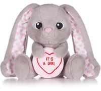 POSH PAWS (SWIZZLES) LOVE HEARTS IT'S BOY AND IT'S GIRL SOFT TOYS