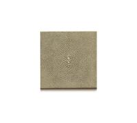 POSH TRADING COMPANY Coaster - Faux Shagreen Natural