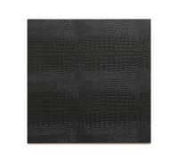Posh Trading Company Set of Two Placemats - Faux Python Black Posh Trading Company Black