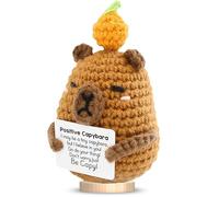Positive Capybara,Funny Good Luck Gifts with Cards,Emotional Support Positive Potato Crochet Animals,New Job/Leaving Gifts for Women/Men,First Day at School Motivational Toy for Kids,Girls,Best Friend