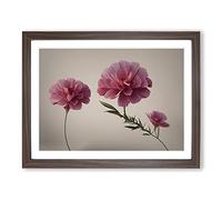 Positive Carnation Flowers H1022 Framed Print for Living Room Bedroom Home Office Décor, Wall Art Picture Ready to Hang, Walnut A3 Frame (46 x 34 cm)