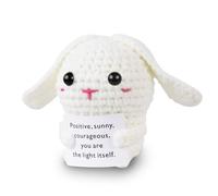Positive Crochet Bunny Gifts with Card for Mom Women Men, Emotional Support Handmade Knitted Rabbit Gift for Friends Teacher Employee Boss, Cute Funny Cheer Up Presents for Family Office Party Decor