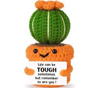 Positive Crochet Cactus Get Well Soon Gifts for Women, Surgery Recovery Emotional Cheer Up Support Gifts for Friends Coworkers, Inspirational Mental Health Sympathy Gift, Small Handmade Crochet Cactus