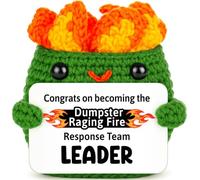 Positive Crochet Dumpster Raging Fire New Manager Gift for Team Leader | New Manager Gifts for Women Men Team Leader Supervisor Promotion Leadership Funny Office Desk Decor