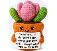 Positive Crochet Succulent - Inspirational Handmade knitted Plant Gift for Women Friends, Teens, Daughter, Teachers, Coworkers, Emotional Cheer Up Plush, and Motivational Encouragement Present