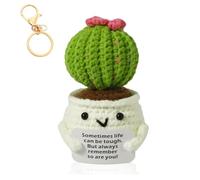 Positive Funny Cactus, Pocket Hug Cactus Doll with Positive Affirmation Cards & Key Ring, Cute Emotional Support Cactus Decor, Good Luck Cheer Up Gifts for Adults Kids Friends Colleagues Graduation