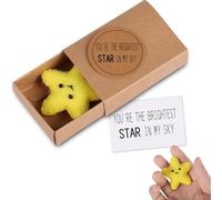 Positive Gift Pocket Hug Star with You're the Brightest Star in My Sky on Card, Wool Felt Star Hug Cute Gifts for Girlfriend Positive Gifts for Friends Christmas Birthday Gift Decoration Encouragement