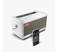 Positive Grid Spark 40 - Pearl